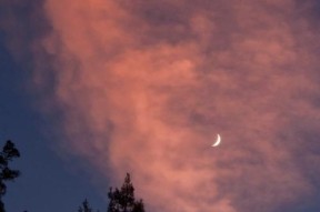 娱乐八卦新月图片大全-新月观测拍摄指南与蛾眉月高清图片大全