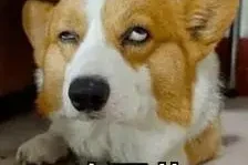 专挑富男撩？她被贵妇点名且成“名媛公敌”了