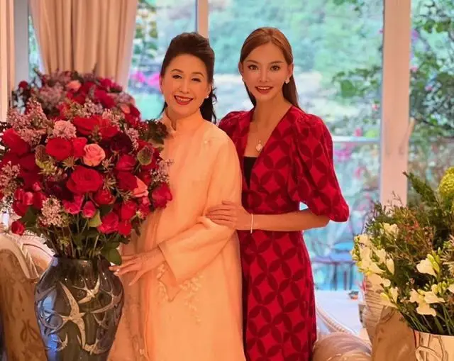 香港知名男星前妻婚内出轨，卖保险年入近500万，一直在整容变脸  第9张