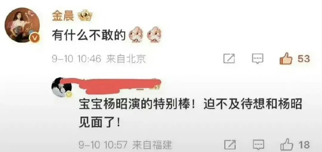 沉默不是金，一次车祸如何让金晨人设崩塌又反转？  第5张