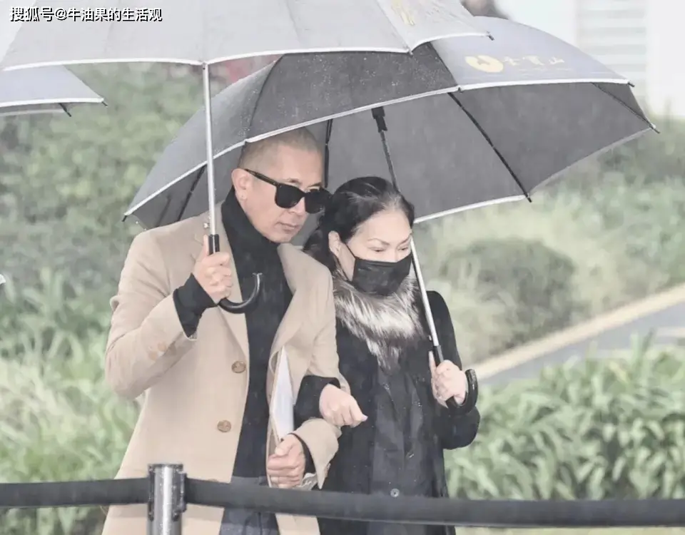 大S雕像为什么不像大S？  第1张