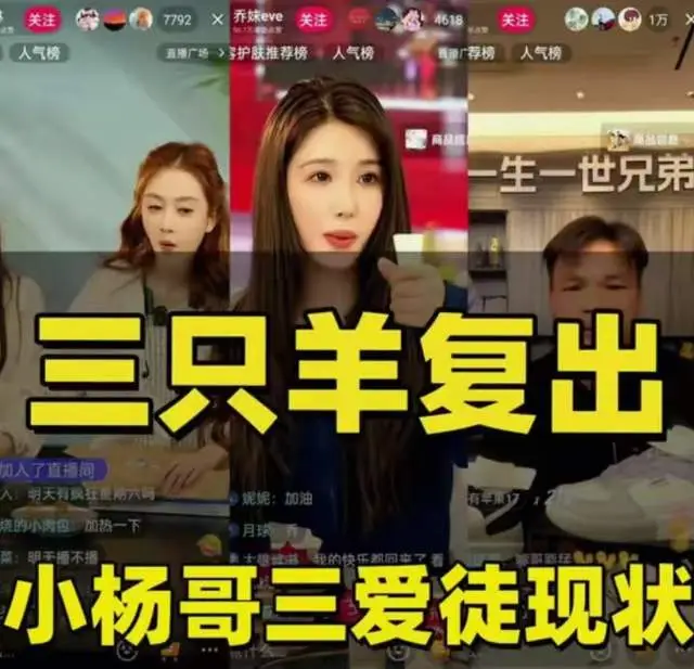 网红“七老板”录音门后首更视频！已回到安徽，仍在三只羊直播  第1张