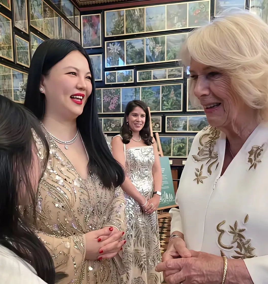 李湘账号禁言风波升级，知情人曝涉税务问题多家公司注销  第20张