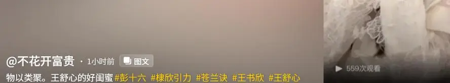 千万粉网红偷税被封且光速掉粉，网友讽物以类聚  第16张