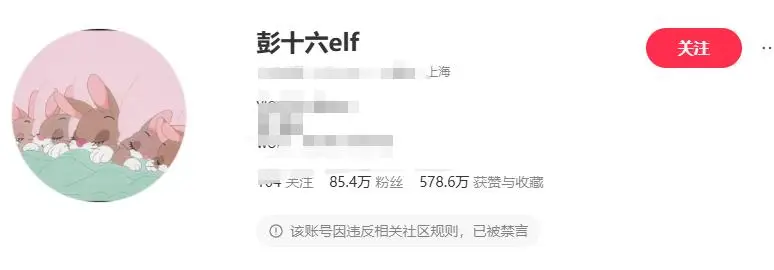 千万粉网红偷税被封且光速掉粉，网友讽物以类聚  第3张