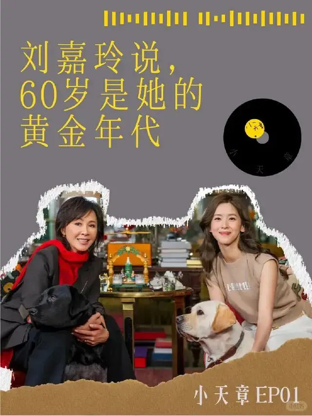 口碑崩塌？不意外啊  第1张