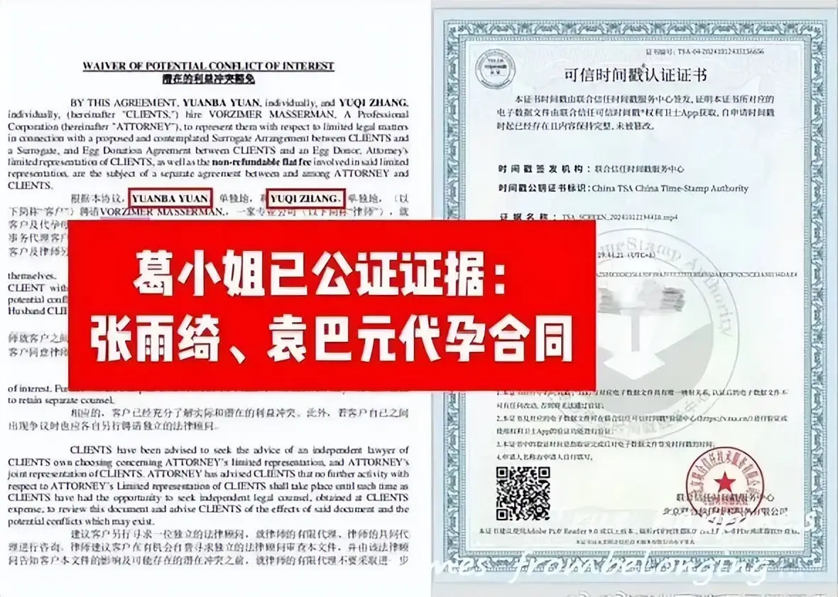 葛晓倩喊话张雨绮晒出生证明，杨天真被指帮瞒代孕引热议  第9张
