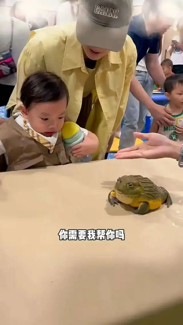 TVB女星变“虎妈”？情绪失控怒骂2岁儿子，被批是“怪兽家长”  第3张