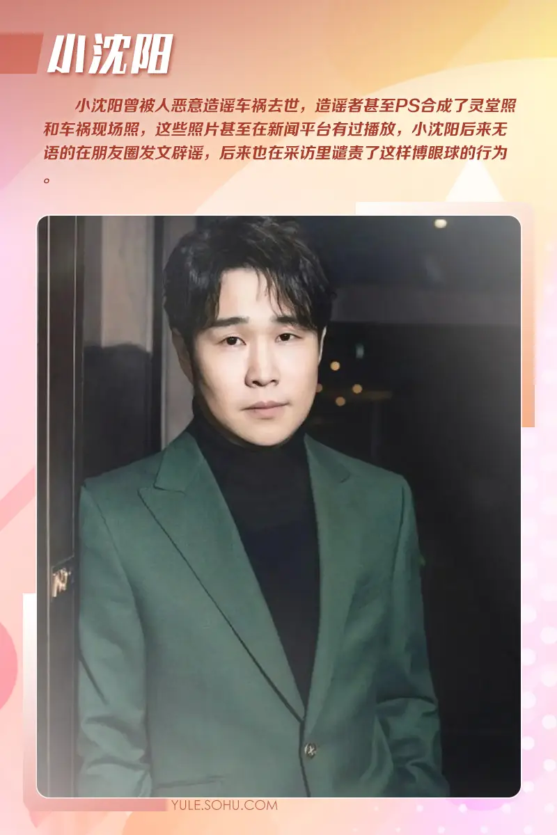 盘点被造谣去世的娱乐圈明星，大衣哥跳楼、刘德华遭枪击太惨  第13张