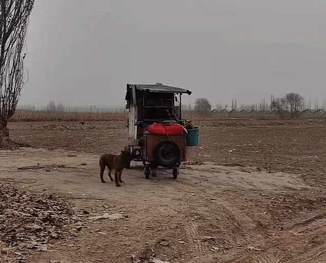 湖南徒步西藏网红‘一杂哥’去世，疑因温差晕倒致悲剧  第6张